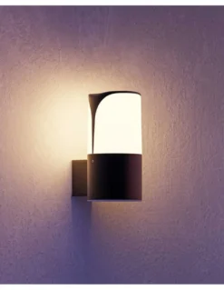 Aplique de pared de exterior Astra - FORLIGHT - Acabado gris oscuro