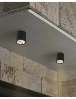 Aplique / Plafón Goz - Faro - Foco LED exterior cilindrico gris oscuro
