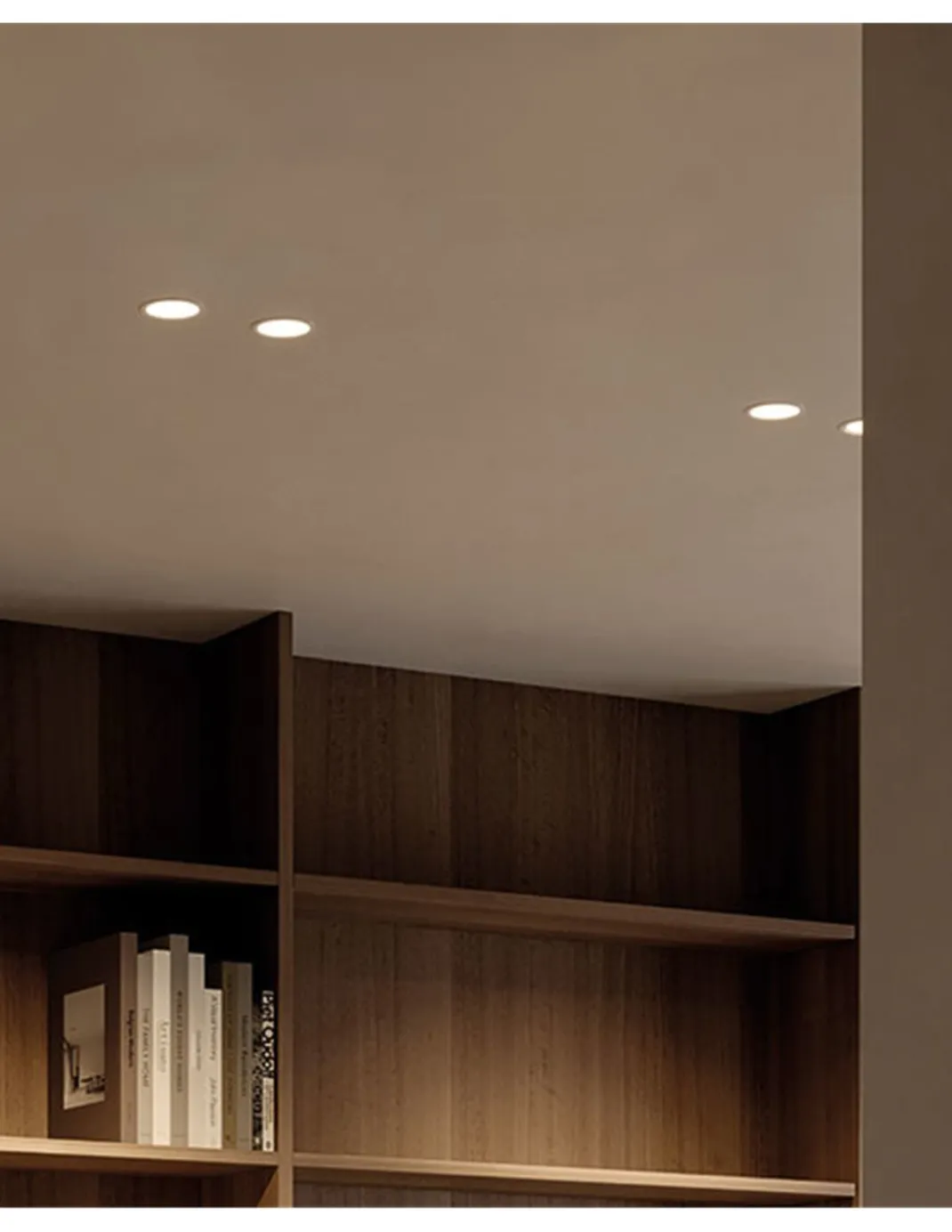 Foco de techo de exterior Buddy - Arkoslight - Lámpara redonda regulable LED regulable