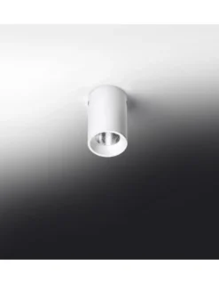 Foco de techo LED en 2 acabados y 2 tamaños regulable 2700K – Haul - Milán