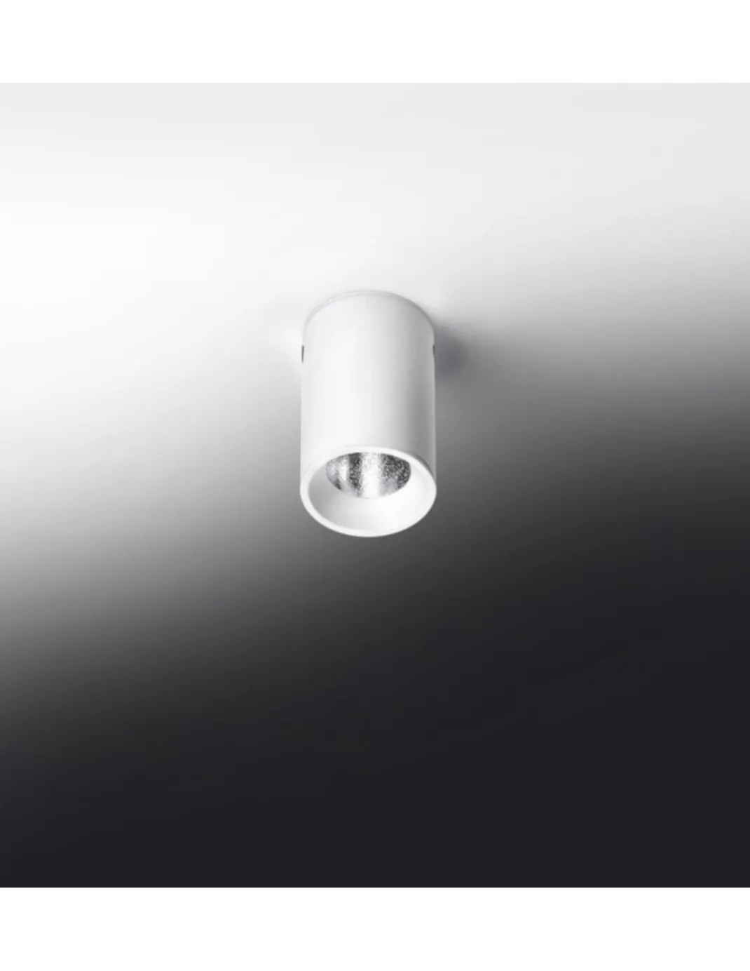 Foco de techo LED en 2 acabados y 2 tamaños regulable 2700K – Haul - Milán