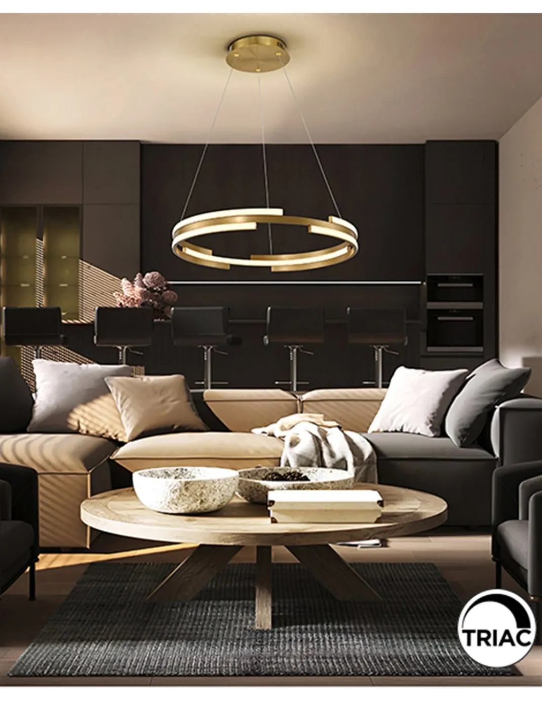 Lámpara colgante Ciclos – Schuller – Lámpara circular en dos colores, LED regulable