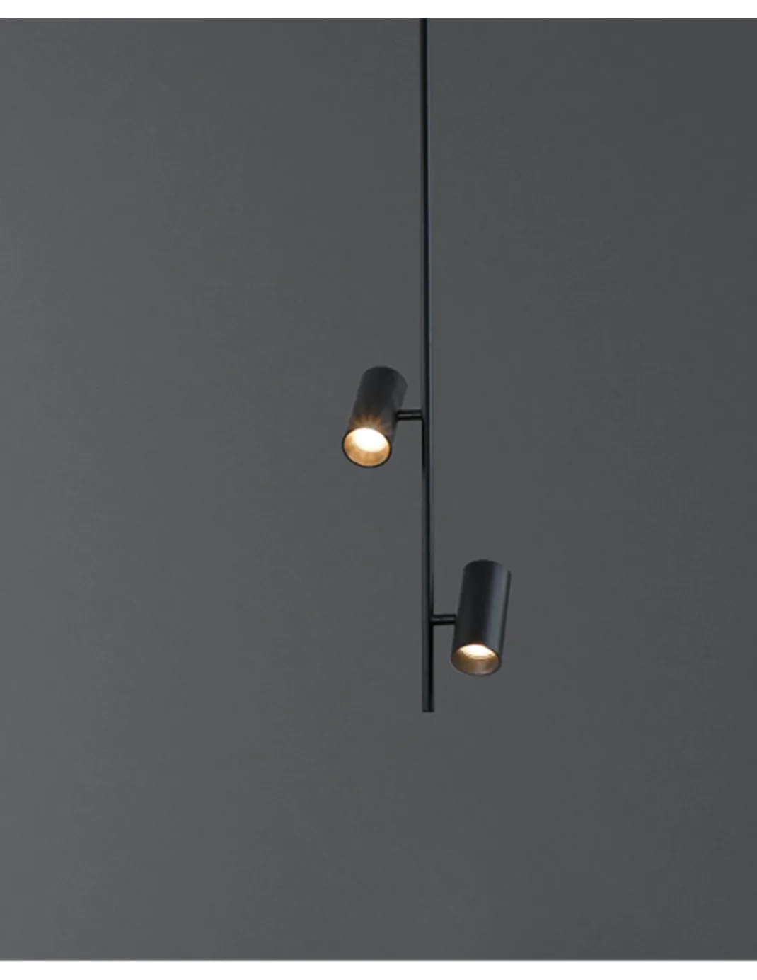 Lámpara colgante Gina - ACB - Colgante con 2 luces orientables de diseño minimalista