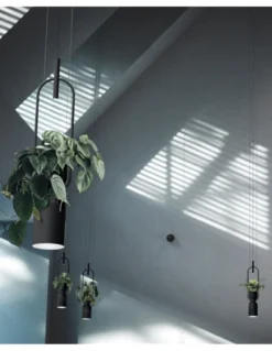Lámpara colgante Oxygen – Luxcambra – Lámpara macetero LED en blanco o negro