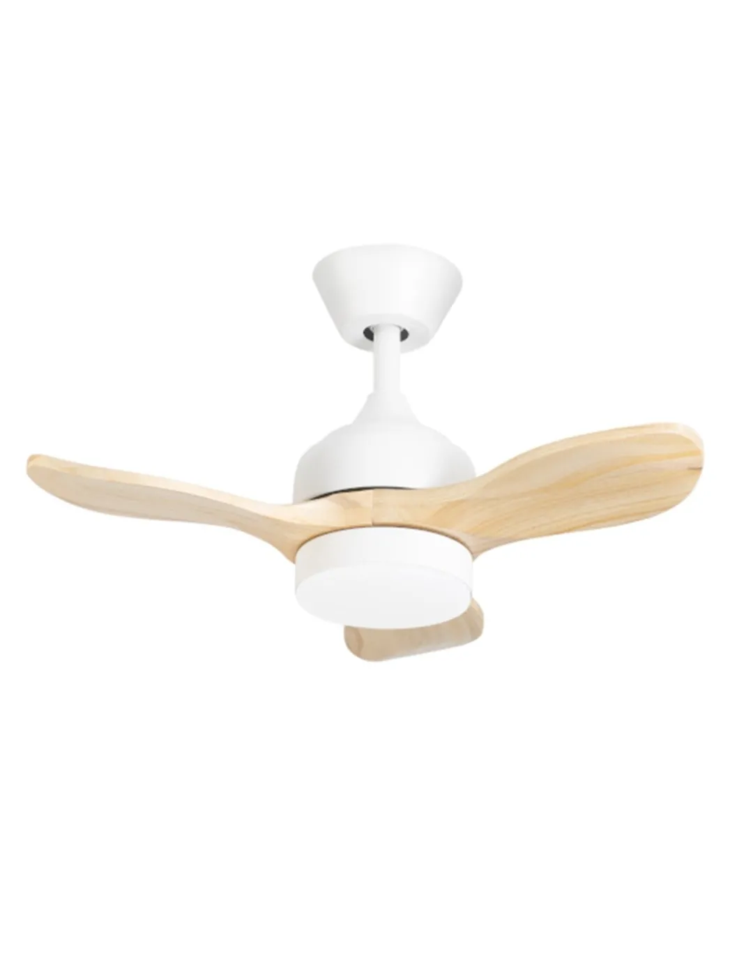 Mini ventilador de techo con luz Calar - FORLIGHT -Ventilador LED pequeño y ultrasilencioso