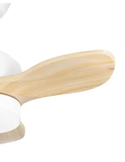 Mini ventilador de techo con luz Calar - FORLIGHT -Ventilador LED pequeño y ultrasilencioso