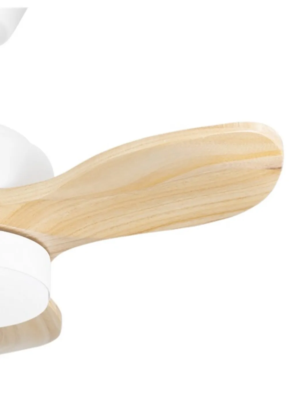 Mini ventilador de techo con luz Calar - FORLIGHT -Ventilador LED pequeño y ultrasilencioso