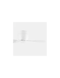 Ventilador de Techo Bora - FORLIGHT - Ventilador con luz ultrasilencioso