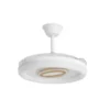 Ventilador de techo con luz Bribón - AJP - Lámpara ventilador decorativa con aspas retráctiles y modo brisa