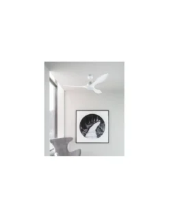 Ventilador de techo con luz Polaris - Faro - Ventilador blanco aerodinámico DC