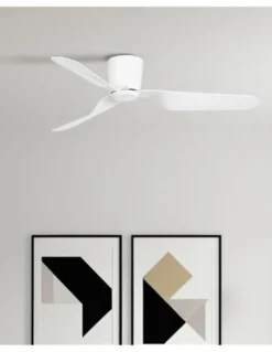 Ventilador de techo con o sin luz Pemba - Faro - Ventilador silencioso para estancias medianas